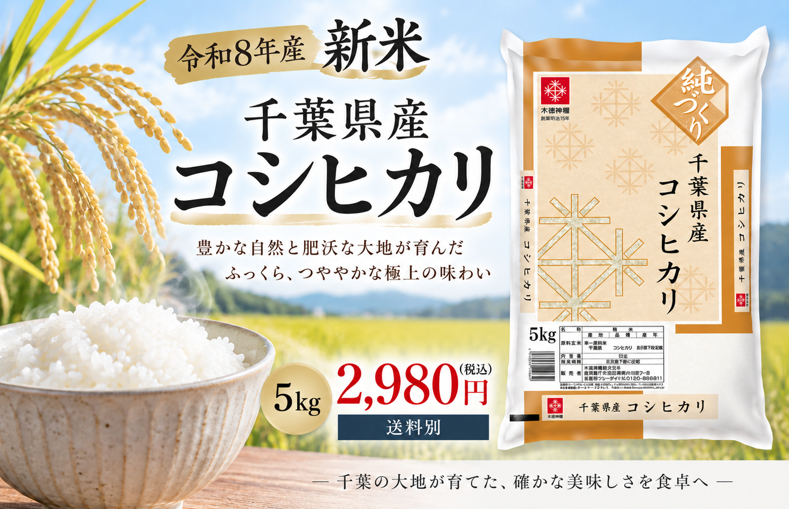千葉コシヒカリ