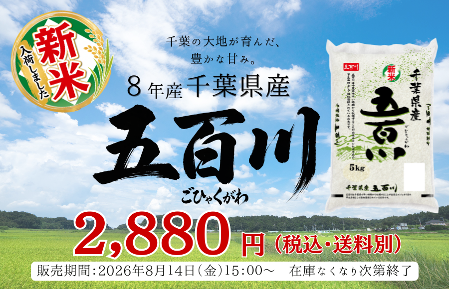 新米五百川
