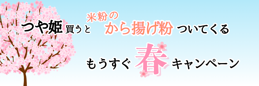 今年のお花見はおにぎり×から揚げで決まり！もうすぐ春キャンペーン