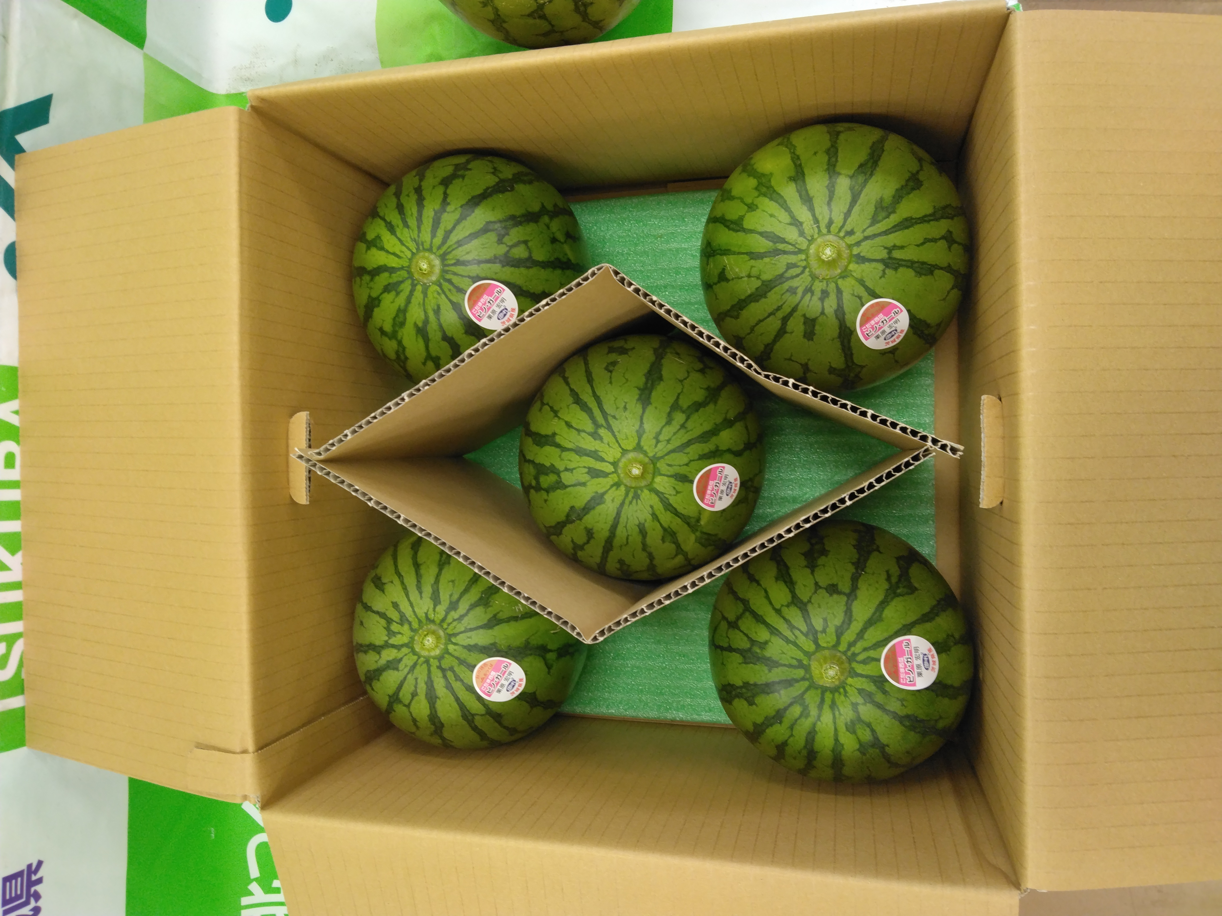 【期間限定】茨城県北つくば産小玉スイカ「ピノ・ガール」L×５玉