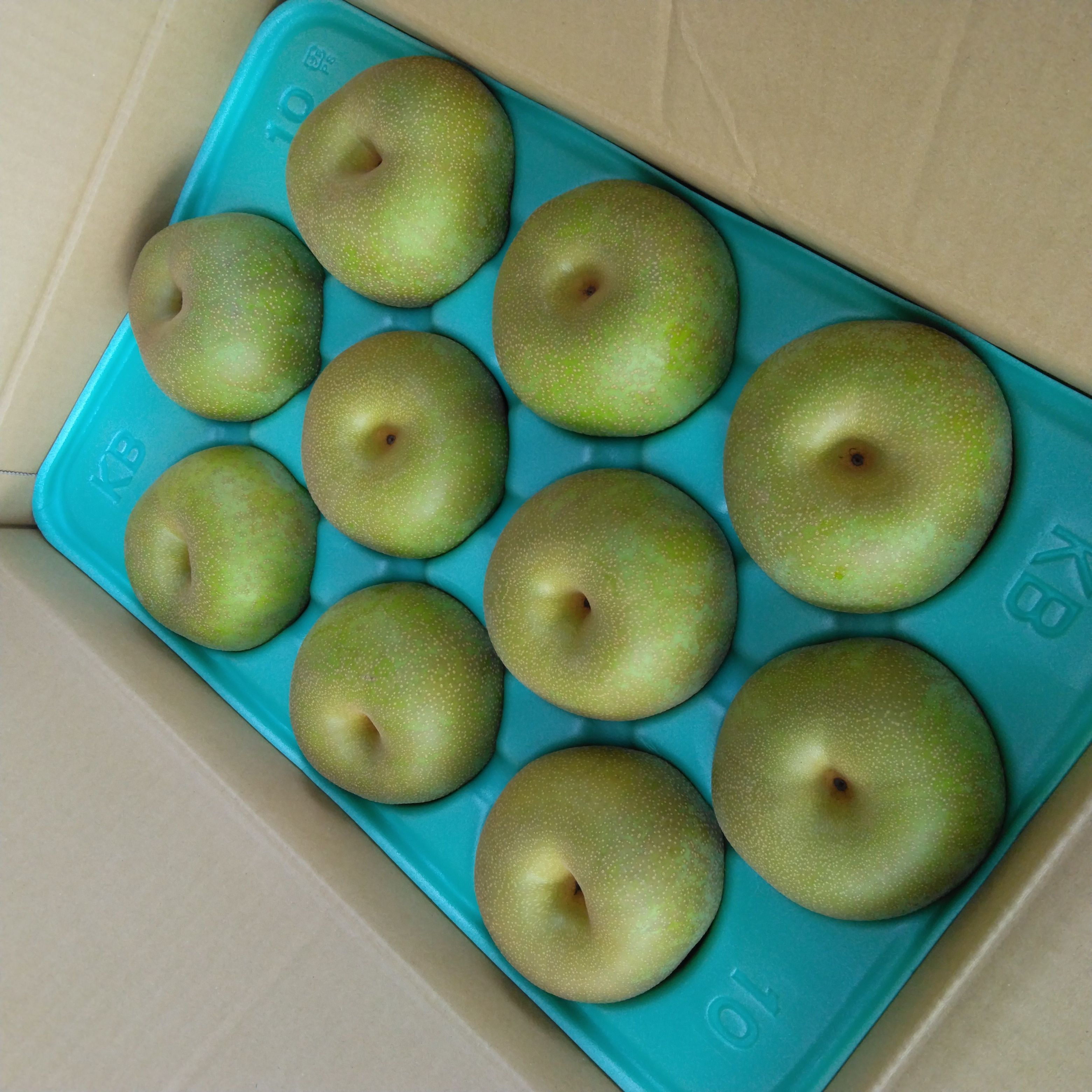 【期間限定】茨城県筑西市産「あきづき」梨　秀品　5kg