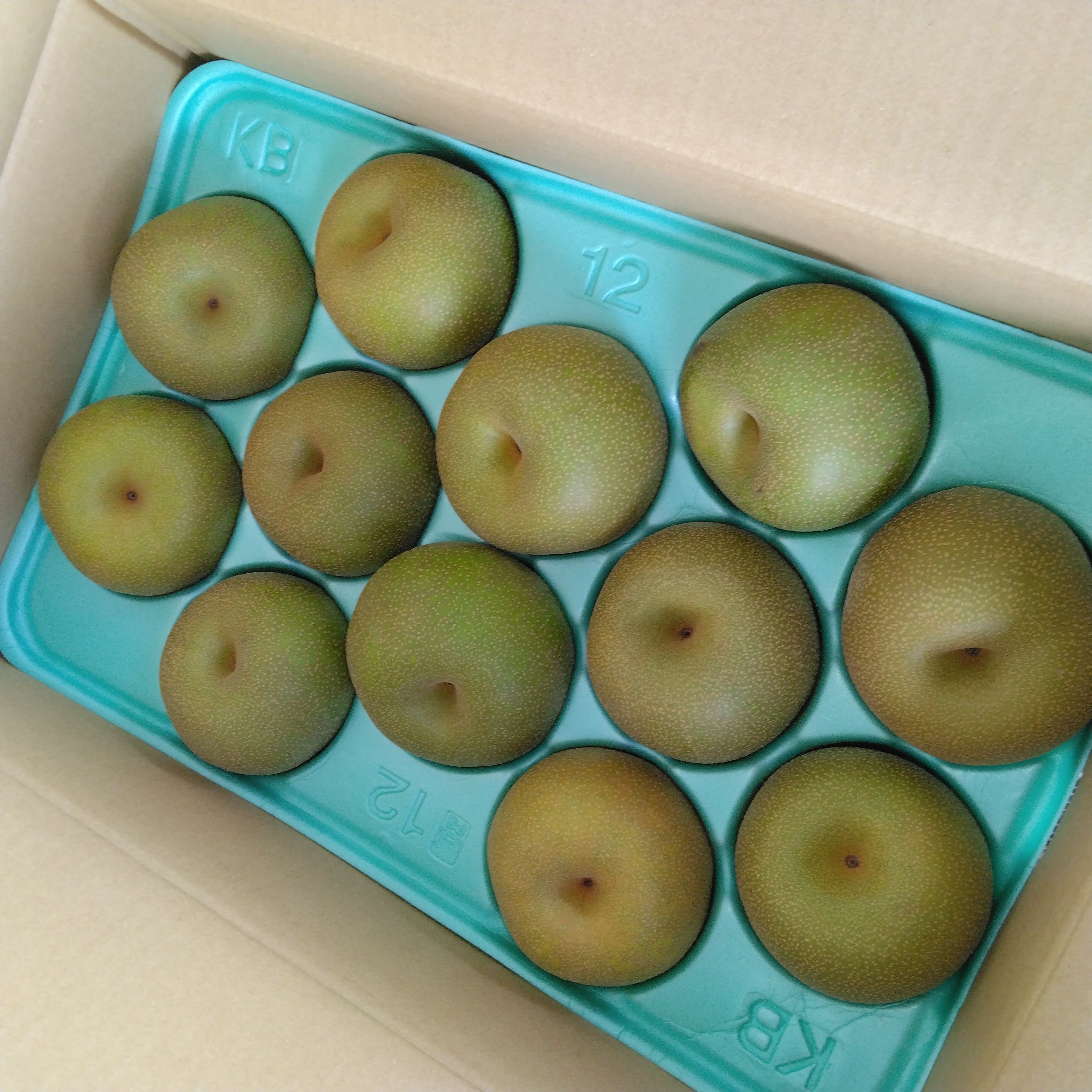 【期間限定】茨城県筑西市産「あきづき」梨　秀品　5kg