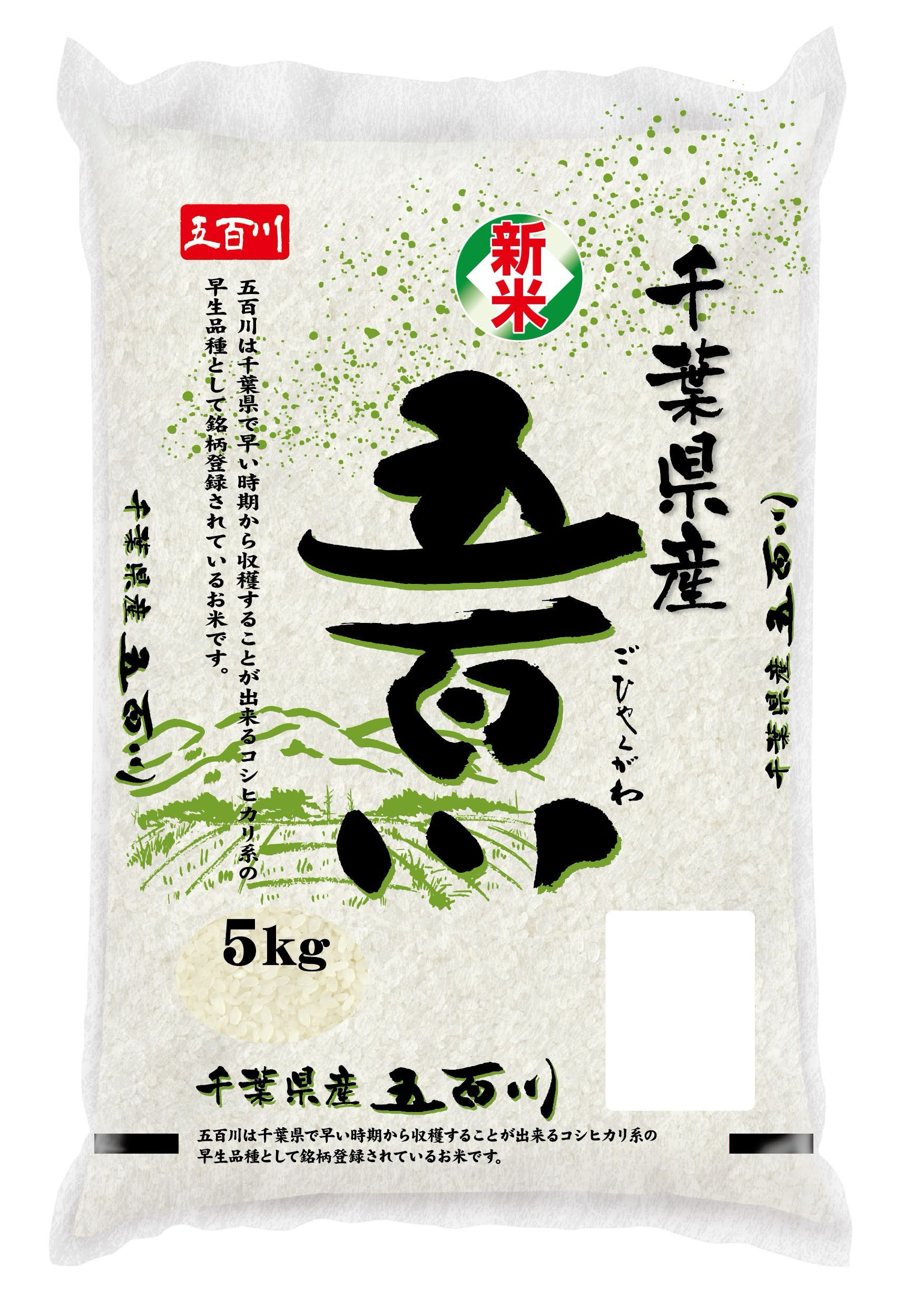 令和8年産新米 千葉県産五百川 5kg