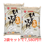 【超お買い得セット！】 宮城県産ひとめぼれ　5kg×2（10㎏）