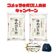 【会員数1万人突破キャンペーン】 無洗米北海道ゆめぴりか5kg×2