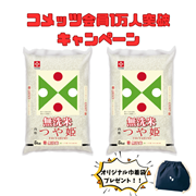 【会員数1万人突破キャンペーン】無洗米 山形県産つや姫5kg×2