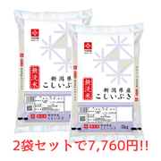 【キャンペーン】無洗米新潟県産こしいぶき　5kg