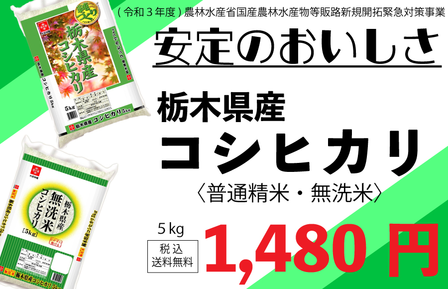 3980円 税込 3kg 25 たんぱく調整食品 たんぱく質調整 クール便対象外 以上で送料無料 低たんぱくごはん 木徳 木徳神糧 真粒米1 米粒タイプ  送料無料 【オンラインショップ】 以上で送料無料